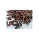 NATURELDOGA 50 gr Yıldız Anason