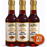 Naturello Kahve ve Kokteyl Şurubu Karamel Aromalı 300 ml x 3 Adet - Kahve Şurubu