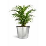 NATURELMETAL GALVANİZ METAL SAKSI İÇ VE DIŞ MEKAN KÜÇÜK BOY ---28 CM ÇAP, 24 CM YÜKSEKLİK,15 LT, İÇ VE DIŞ MEKAN