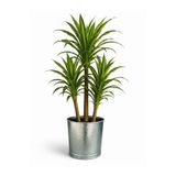 NATURELMETAL GALVANİZ METAL SAKSI İÇ VE DIŞ MEKAN ORTA BOY ---36 CM ÇAP, 30 CM YÜKSEKLİK, 30 LT, İÇ VE DIŞ MEKAN