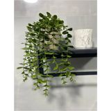 Naturelove Saksıdan Sarkan Okaliptüs Yapay Çiçek Saksılı Dekor Çiçek Masa / Ev / Ofis Dekoru - 001-Renkli