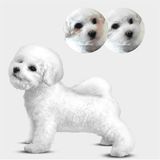 Natures Protection Adult Kuzu Etli Küçük Irk Beyaz Tüylü Yetişkin 17 kg Köpek Maması
