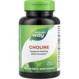 Nature’s Way Choline 500mg (Kolin Nörotransmitter Brain Health) 100 Tablet Usa Version