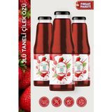 NatureTime Premium Taneli Çilek Özü %100 Doğal Katkısız Şeker İlavesiz- 3'lü Fırsat Paketi - 1,280 gr