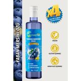 NatureTime Premium Yaban Mersini Özü 700 gr Glütensiz Katkısız Doğal Pestisit & Ağır Metal İçermez Analizli