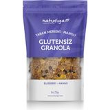 Naturiga Blueberry Mango Glutensiz-Vegan Granola 250 ml - 250 gr