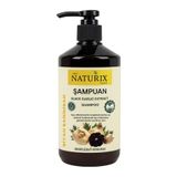 Naturix Siyah Sarımsak Şampuanı - Paraben, Tuz, Fosfat Içermeyen Kokusuz & Tuzsuz 600ml