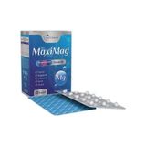 Naturmax Maximag Magnezyum Complex 60 Kapsül Vitamin B6 İçeren Türkiye Menşeli Takviye