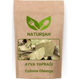 Naturşah Ayva Yaprağı / Cydonia Oblonga 500 gr