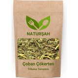 Naturşah Çoban Çökerten (Tribulus Terrestris) 100 gr