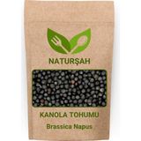 Naturşah Kanola Tohumu 250 Gr / Brassica Napus