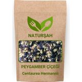 Naturşah Peygamber Çiçeği - Mavi Kantaron / Centaurea Cyanus 50 gr