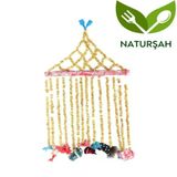 Naturşah Üzerlik Otu (Duvar Süsü) 1 Adet