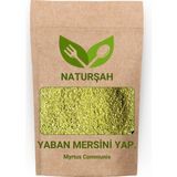 Naturşah Yaban Mersini Yaprağı Toz-Öğütülmüş 50 gr
