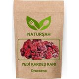 Naturşah Yedi Kardeş Kanı / Dracaena 500 gr
