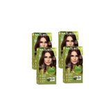 Naturtint 4.35 Yoğun Capuchino Doğal Saç Boyası 170ML 4'lü Set