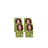 Naturtint 4m Maun Kestane Doğal Saç Boyası 170ML 4'lü Set