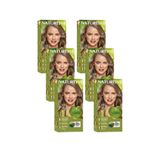 Naturtint 7N Fındık Sarısı Doğal 6x170 ml Saç Boyası