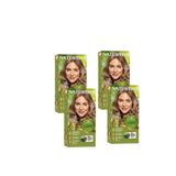 Naturtint 8N Buğday Sarısı Doğal 4x170 ml Saç Boyası