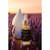 Natuur Collection Lavanta Esans Buhurdanlık Esansı Doğal Uçucu Yağ 20 ml