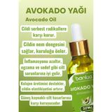 Natzera Avokado Yağı 3X20 ml – %100 Saf Soğuk Sıkım Saç ve Cilt Bakımı Nemlendirici Besleyici Doğal Yağ - 60 ml