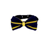 NATZIONE Ayarlanabilir Sarı Lacivert Kedi Köpek Papyonu 9x12 Cm Boyun Ölçüsü:35-45 Cm
