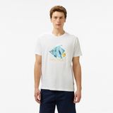 Nautica Erkek Beyaz Regular Fit T-Shirt - 1BW-Beyaz - XL