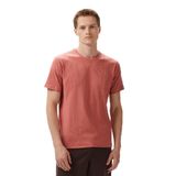 Nautica Erkek Kahverengi Regular Fit Baskılı T-shirt