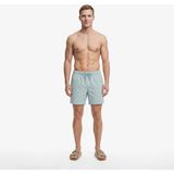 Nautica Erkek Yeşil Regular Fit Çizgili Deniz Şortu T65545T.3ET - 3ET-Yeşil - 2XL