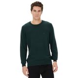 Nautica Erkek Yeşil Standart Fit Kazak-S37002T.3KF XS