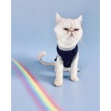 Navy Sports Atlet Kedi Kiyafeti Kedi Elbisesi