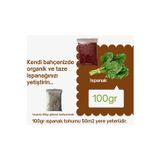 Naz Tohum 100gr ıspanak tohumu + 100gr gübre