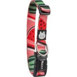Nazz Köpek Boyun Tasması Karpuz Pembe Small 1,5X34 Cm