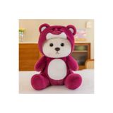 NB market Teddy ayıcık kostümlü peluş oyuncak ayı kapşonu çıkarılabilir peluş ayı 30cm