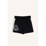 NBA Boston Celtıcs Standart Fıt Sporcu Kısa Paça Sweatshirt Kumaşı Şort