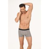 NBB 6 Adet, Modal, Pamuklu, Likralı Erkek Boxer, Ön Jile Çift Katlı, Nefes Aldırır - Gri