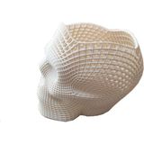 Nct Robotik 3D Printer Baskı Özel Meshli Kuru Kafa Kalemlik Beyaz