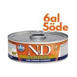 N&D 6x80 gr Balkabaklı Kuzu Eti ve Yaban Mersinli Kedi Konservesi