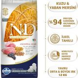 Nd Az Tahıllı Kuzulu Yavru Medium Maxi Köpek Maması 12 Kg 8010276033727