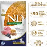 Nd Az Tahıllı Kuzulu Yavru Mini Köpek Maması 2,5 Kg 8010276033703