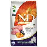 N&D Bal Kabaklı, Kuzu Etli ve Yaban Mersinli Orta ve Büyük Irk Tahılsız Yavru 2.5 kg Kuru Köpek Maması