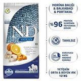 N&D Balkabaklı Morina Balıklı ve Portakallı Medium Maxi Irk 2.5 kg Köpek Maması
