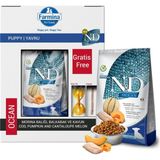 N&D Ocean Morina Balıklı Bal Kabaklı ve Kavunlu Küçük Irk Tahılsız Yavru 7 kg Köpek Maması