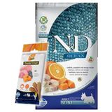 N&D Ocean Tahılsız Balkabaklı Morina Balıklı Küçük Irk Köpek Maması 2.5 kg + ND Dental Köpek Ödülü