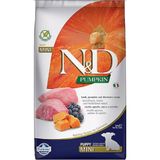N&D Pumpkin 2.5 kg Tahılsız Kuzu Etli ve Yaban Mersinli Mini Puppy Yavru Köpek Maması