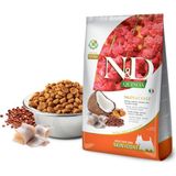 N&d Quinoa Skin&coat Ringa Balıklı Kinoalı Hindistan Cevizli Zerdeçallı Küçük Irk Yetişkin Köpek Maması 2,5kg - 1