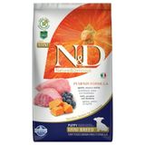 N&D Tahılsız Bal Kabaklı Kuzu Etli ve Yaban Mersinli Küçük Irk 2.5 kg Yavru Köpek Maması