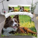 NDXRWDZR Çift Kişilik Nevresim Takımı, Bordür Collie Nevresim Takımı, Fermuarlı Kapama, Aldults Çocuklar için Yumuşak Hipoalerjenik Mikrofiber Yorgan Kılıfı 200x200 cm + 2 Yastık Kılıfı 50x75 cm