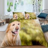 NDXRWDZR Çift Kişilik Nevresim Takımı, Labrador Nevresim Takımı, Fermuarlı Kapama, Aldults Çocuklar için Yumuşak Hipoalerjenik Mikrofiber Yorgan Kılıfı 200x200 cm + 2 Yastık Kılıfı 50x75 cm