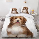 NDXRWDZR Çift Kişilik Nevresim Takımı, Shih Tzu Nevresim Takımı, Fermuarlı Kapama, Aldults Çocuklar için Yumuşak Hipoalerjenik Mikrofiber Yorgan Kılıfı 200x200 cm + 2 Yastık Kılıfı 50x75 cm
